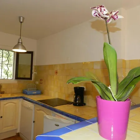 Le Lavandou, 3 Pieces, 4 Personnes - Fr-1-251-646 Appartement *